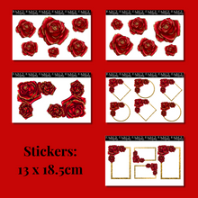 Load image into Gallery viewer, Tandem Pack #2